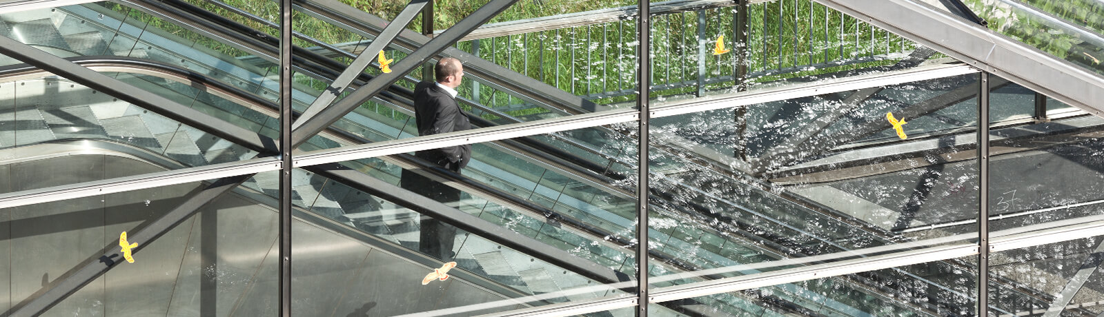 proposition_professionals_about proposition_professionals_about