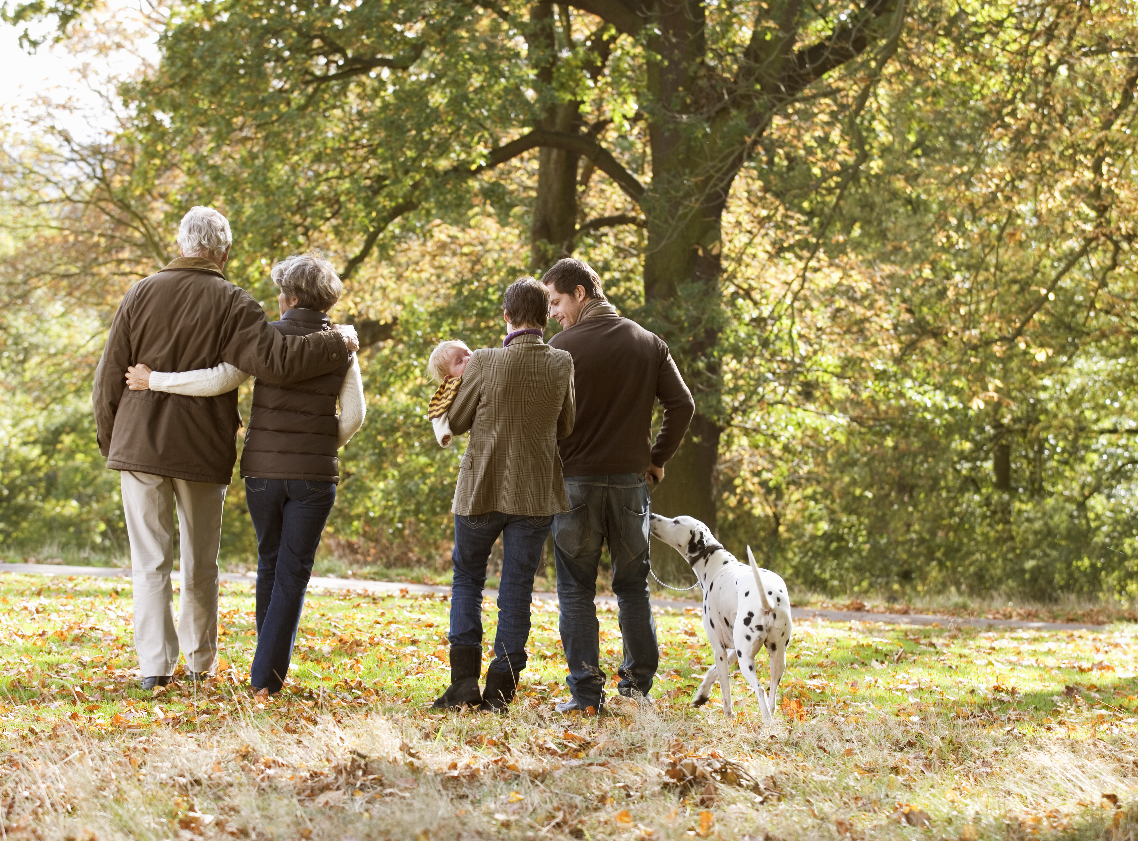 A family group walking in autumn time A family group walking in autumn time
