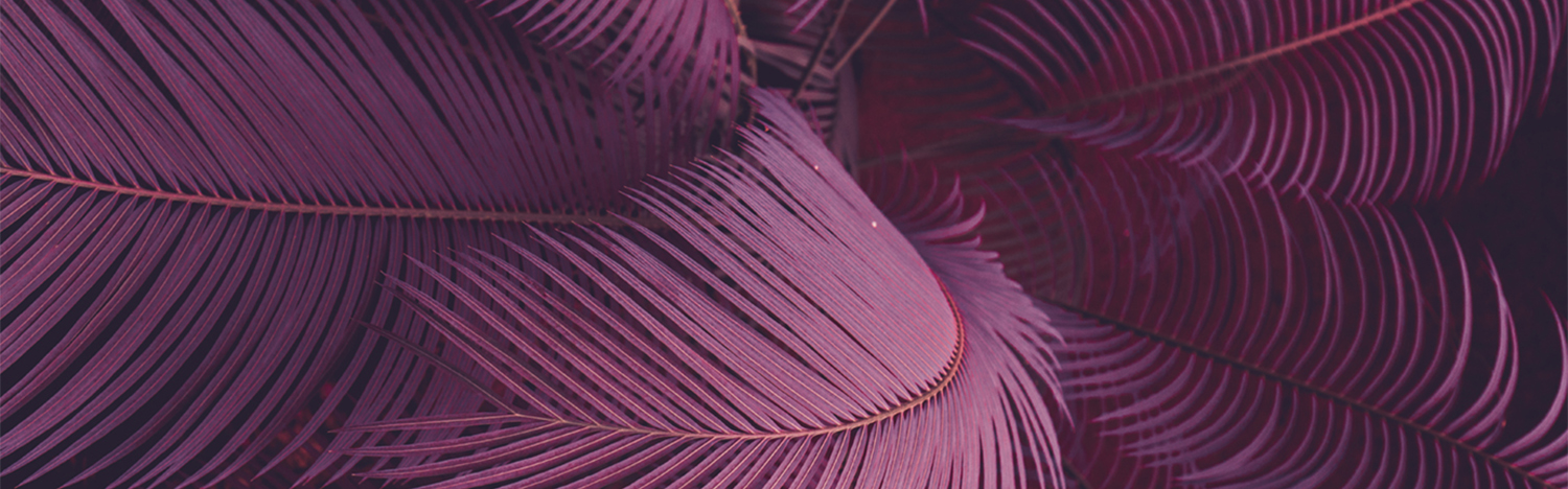 Leaves Private Banking | Ways of banking