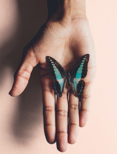 A Turquoise Butterfly Resting On A Hand Against A Turquoise Background