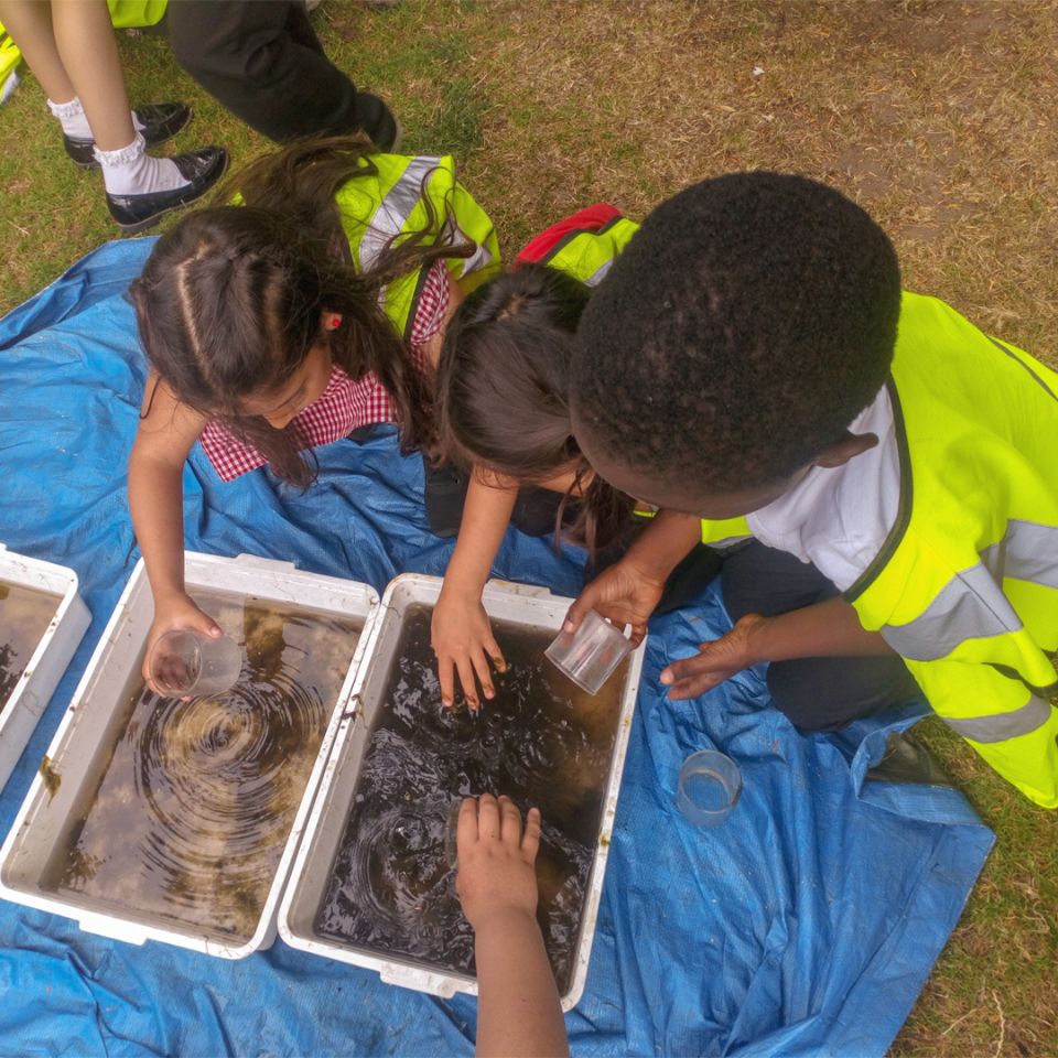 2023-05-10tcv-wild-days-out-12children-45000-crowns